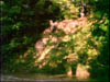 2bb_053