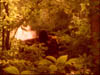 2bb_079