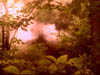 2bb_081