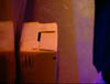 ashes_075
