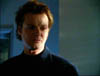 ashes_126