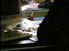 ashes_282
