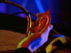 ashes_312