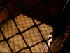 ashes_324