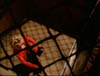 ashes_325
