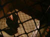 ashes_521