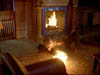 ashes_543