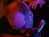 ashes_611