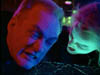 ashes_618
