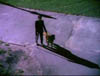 blind_001