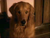 blind_014
