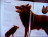 blind_024