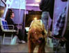 blind_066