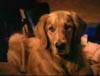 blind_076