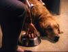 blind_102