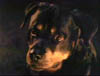 blind_171