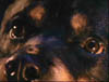 blind_172