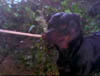 blind_197