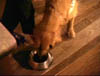 blind_210