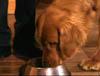 blind_211