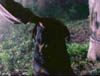 blind_287