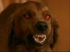 blind_304