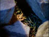 don_124