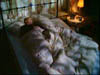 don_128
