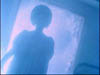 don_477
