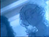 don_484
