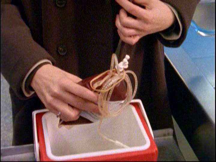 fever_280