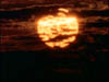 fever_142