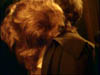 fever_178