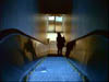 human_223
