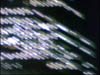 human_227