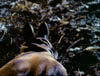 jdoe_005